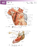 Sobotta Atlas of Human Anatomy  Head,Neck,Upper Limb Volume1 2006, page 189